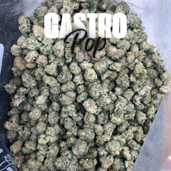 ( $100 OZ x QUAD ) GASTRO POP | 2 OZ $160