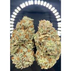* NEW * Jet Fuel 3A