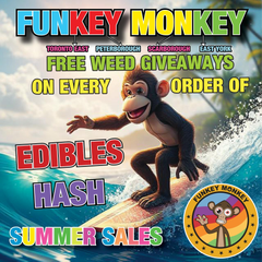 Funkey Monkey