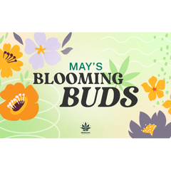 May Deals 🌷
