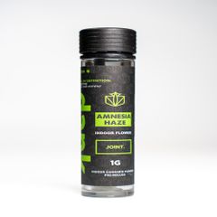 Amnesia Haze 1g Preroll | Dank