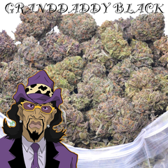 GRANDDADDY BLACK AAAAA