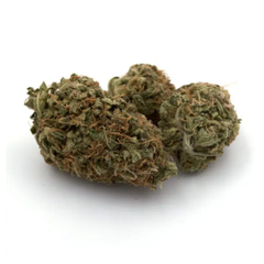 (AAAA) Dutch Cheese $90 OZ