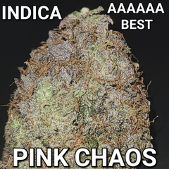(66% OFF DEAL) PINK CHAOS KUSH (AAAAAA INDICA) SUPER STICKY, GASSY, VERY STRONG ($150 OUNCE SALE) REG $450