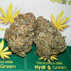 *******ELECTRIC OG*******