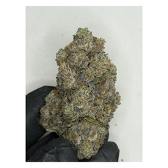 !$150/oz Greasy Pink "LIVING HARVEST"