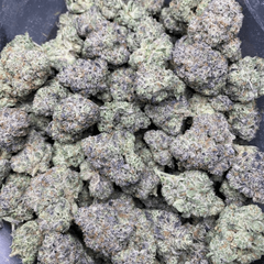 Gelato 41