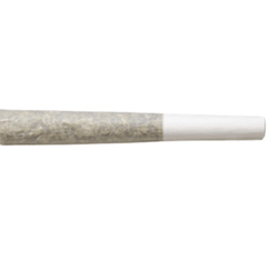 0.5g Bubble Hash & Live Rosin Infused House Roulette Pre Roll Joint - Limited Edition