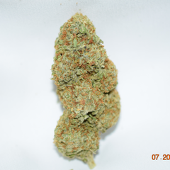 Cali Orange AAAA Evenly Balanced Hybrid