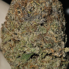 ☆CALI EXOTICS☆ LEMON COOKIES 30%THC SATIVA AAAA