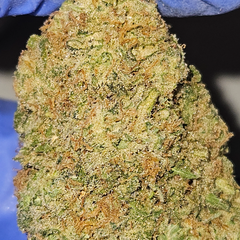 ☆HIGH QUADS EXOTIC☆ DIAMOND RUNTZ 32%THC SATIVA AAAAA