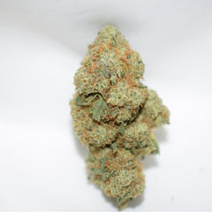 Sour Diesel Sativa Dominant Hybrid AAA