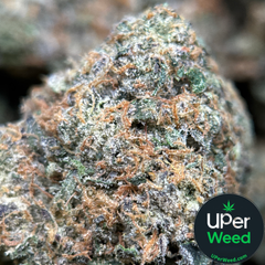 (28G) - BC Alien Cream Cake 👽⛽Hybrid | 2Oz Bulk Deal for $250