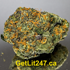 "Premium" Alaskan Thunder- Hybrid 60% Indica / 40% Sativa - THC 31-34%