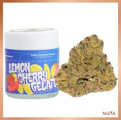 Lemon Cherry Gelato (3.5gs) INDICA Indoor [MOTA]