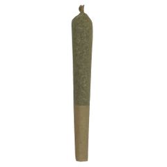 Amherst Sour Diesel Pre-Rolls 10 Pack <br> Sativa <br>23.6%