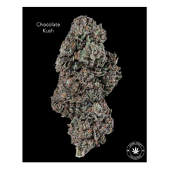 AA - CHOCOLATE KUSH