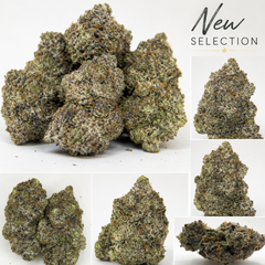 California Buds