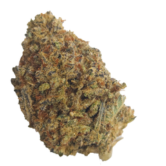 BC (AAAA) BLUE PETROL
