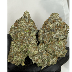 !$110/oz Pinky and the brain