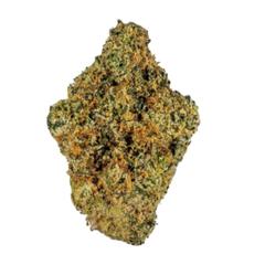 (INDICA) Gas Mask