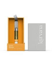 ASCND - Mimosa (1.0 mL)