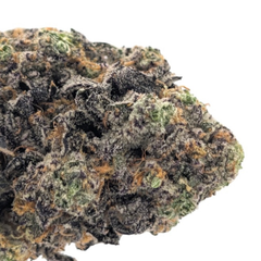 BlackBerry - Premium Quality 