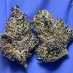 ANIMAL COOKIES SMALLS  (Girl Scout Cookies x Fire OG)