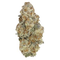 Astronaut Status 3.5g <br>Hybrid <br>29.73% | 3.77% Terps