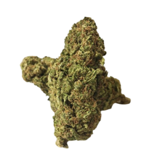 (INDICA) Forbidden Fruit