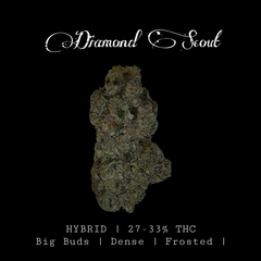Diamond Scout 💎 27-33% THC  $120 an oz | $180 for 2 ozs
