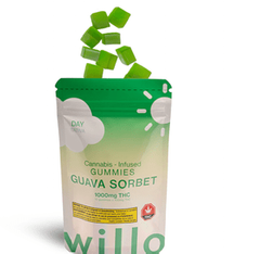 Willo 1000mg THC Gummies: Guava Sorbet (Day)