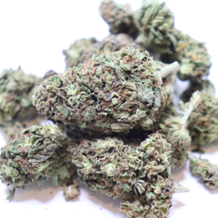 BLUEBERRY KUSH AAA