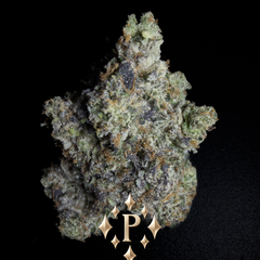 (NEW) LSO 12 Week Pink Goo AAAA+ (5*)