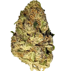 $OUNCE DEAL - ORYOZ - AAA