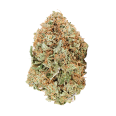 (INDICA) Afghan kush