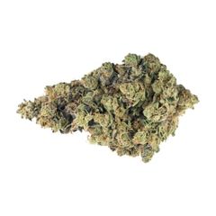 Broken Coast - Sour OG - 14g Sativa Dried Flower