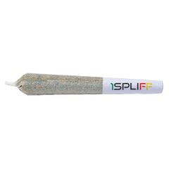 1Spliff - Orange Rntz Pre-Rolls - 7x0.5g Hybrid ~Sale