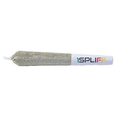 1Spliff - Orange Rntz Pre-Roll 7x0.5g