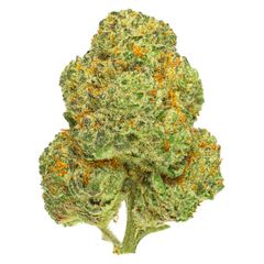 San Rafael '71 - Chemango Kush - Chemango Kush Dried Flower