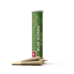 Blue Iguana Pre-Roll 3-pack | 1.5g