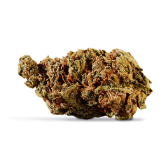 BC God Bud | 28g