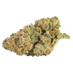 Back Forty - Mandarin Cookies - Sativa