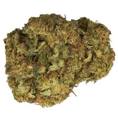 Color - Mango Haze - Dried Flower