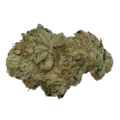 Homage - Desi - Sativa