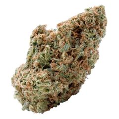 Spinach - Sonic Lemon Fuel - Sonic Lemon Fuel Dried Flower