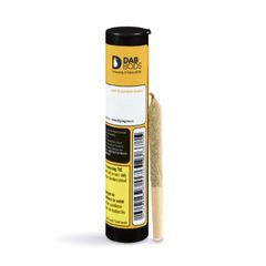 Apple Spice Infused Pre-Roll 3-pack | 1.5g