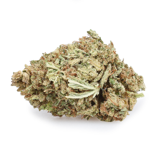 Alien Cheese – 28G for 40$ | 3 OZ for 90$ – Indica