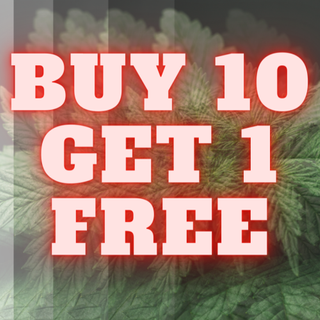 *******BUY 10---SMOKE FREE*******