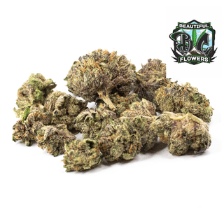 *HOT SELLER* - SUPER GAS by B.C BEAUTIFUL FLOWERS 